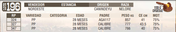 Lote LOTE 196 - EN VIVO