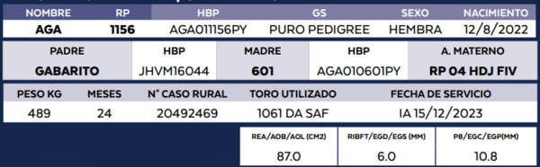 Lote LOTE 40