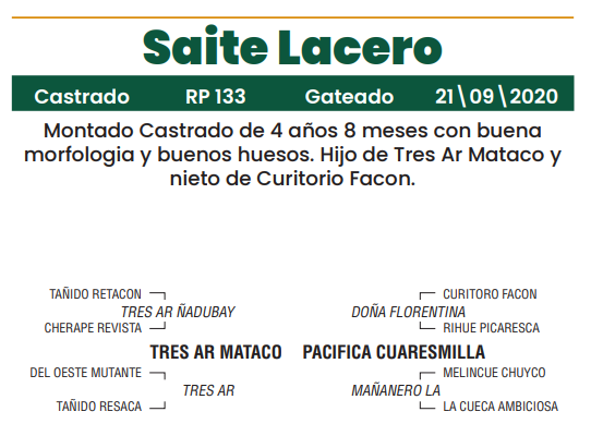 Lote LOTE 26
