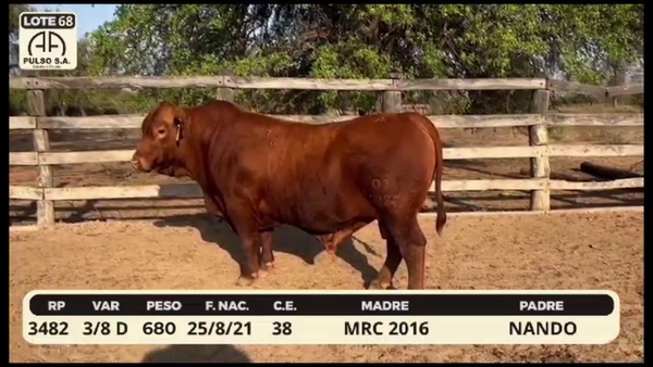 Lote LOTE 68