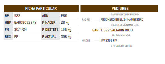 Lote LOTE 24
