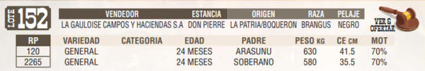 Lote LOTE 152 - EN VIVO