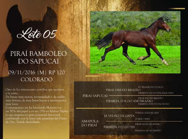 Lote RP 120 - PIRAÍ BAMBOLEO DO SAPUCAI