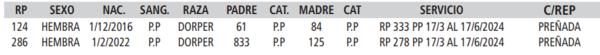 Lote LOTE 14