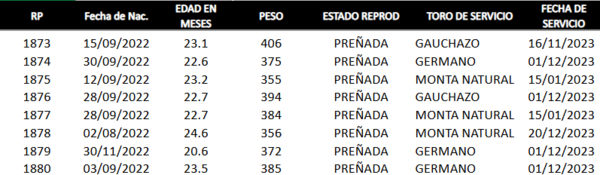 Lote LOTE 33