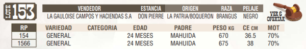 Lote LOTE 153 - EN VIVO