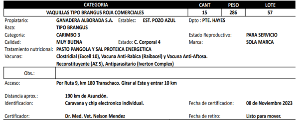 Lote LOTE 57