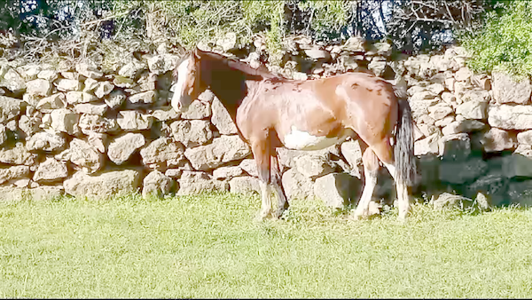 Lote CAPIRU AGUACERO RP 189