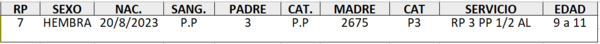 Lote LOTE 3 DE CATALOGO