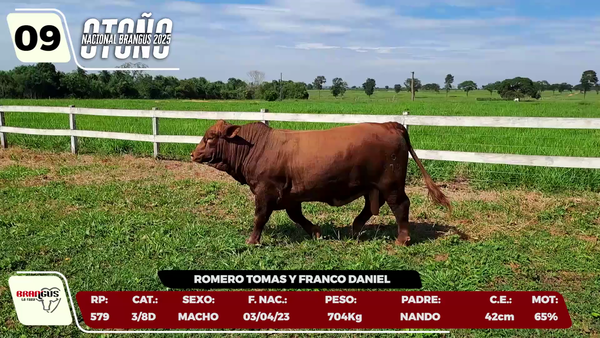 Lote LOTE 9