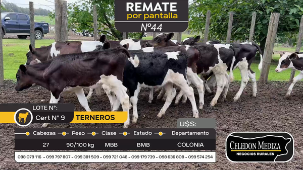 Lote 27 Terneros en Otra Localidad, Colonia