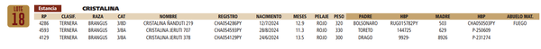 Lote LOTE 18