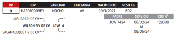 Lote LOTE 80