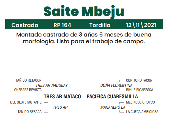 Lote LOTE 11