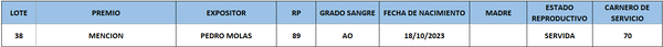 Lote LOTE 38