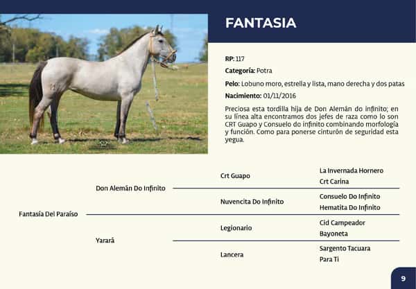 Lote RP 117 - Fantasia