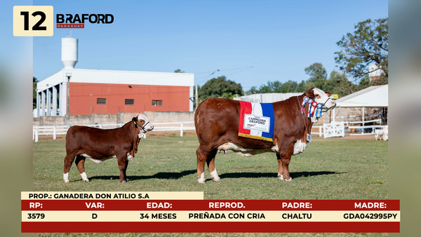 Lote LOTE 12 - SALE A VENTA EL 50%