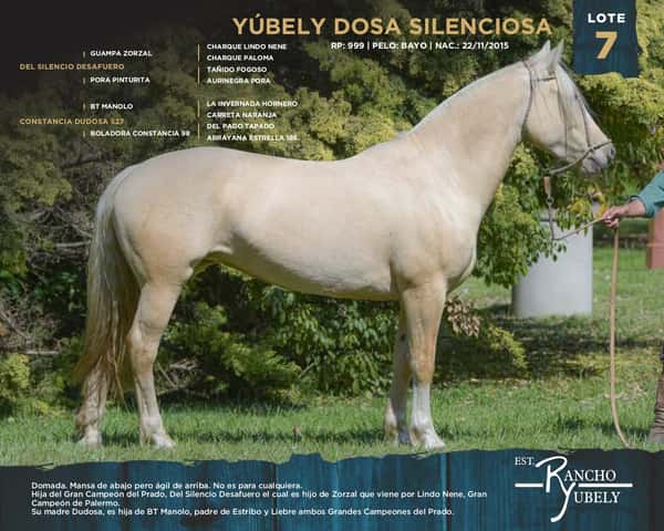 Lote Yubely Dosa Silenciosa