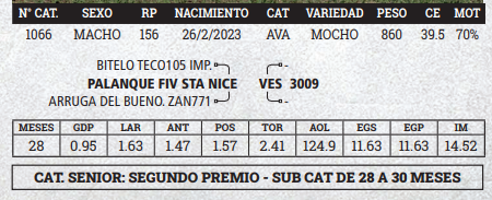Lote LOTE 6 - BOZAL