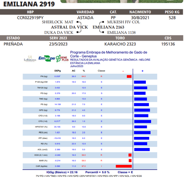 Lote LOTE 56