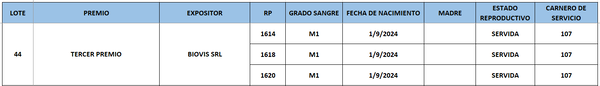 Lote LOTE 44