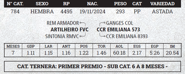 Lote LOTE 12 - BOZAL