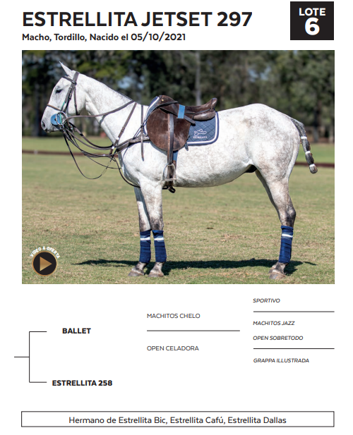 Lote LOTE 6