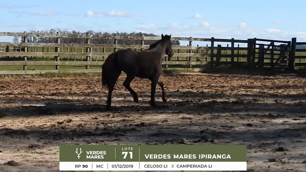 Lote VERDES MARES IPIRANGA