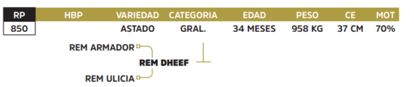 Lote LOTE 25