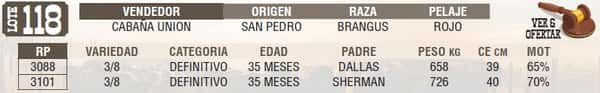 Lote LOTE 118