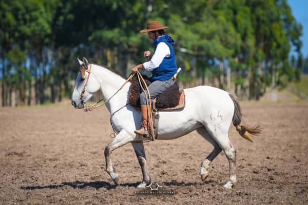 Lote RP 64 - Mana Chispazo