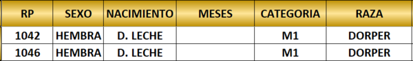 Lote LOTE 22