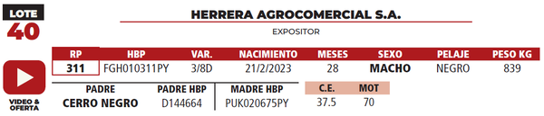 Lote LOTE 40