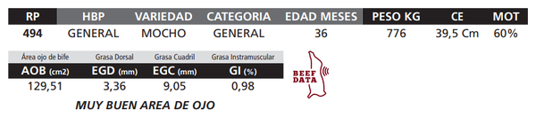Lote LOTE 44