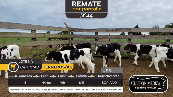 Lote 8 Terneros en José Enrique Rodó, Soriano