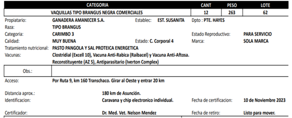 Lote LOTE 62