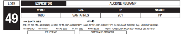 Lote LOTE 49
