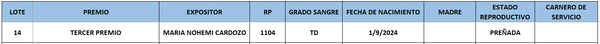 Lote LOTE 14