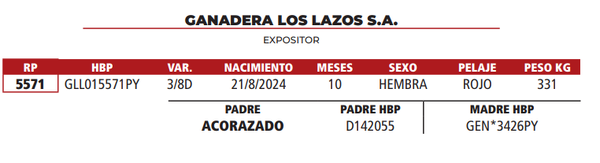 Lote LOTE 11