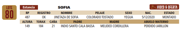 Lote LOTE 80