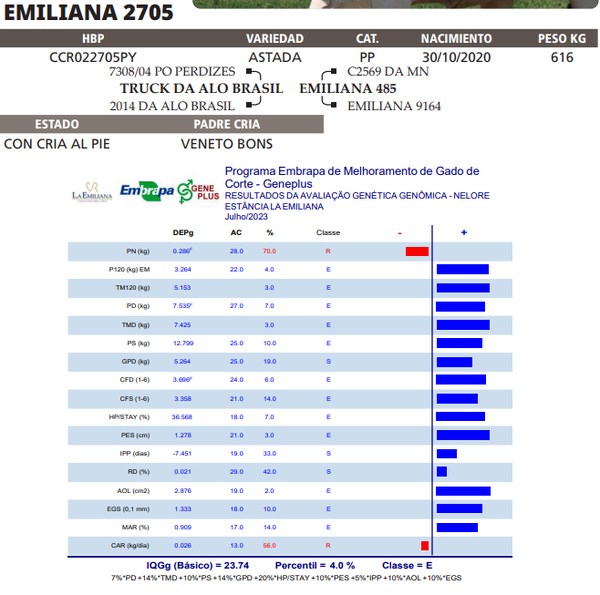 Lote LOTE 63