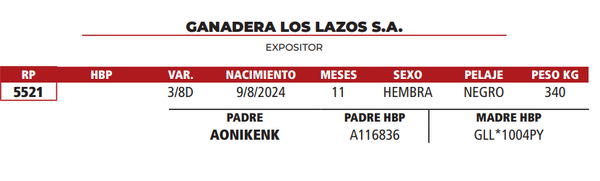 Lote LOTE 19