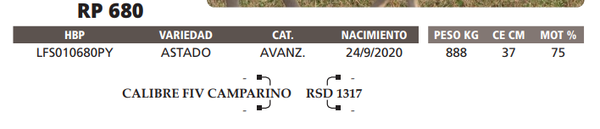 Lote LOTE 16