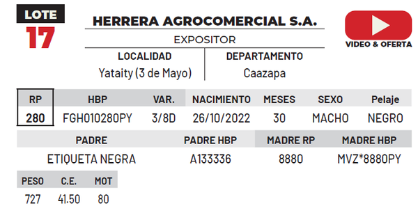 Lote LOTE 17