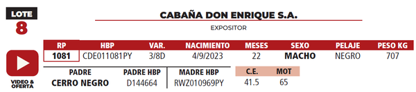 Lote LOTE 8