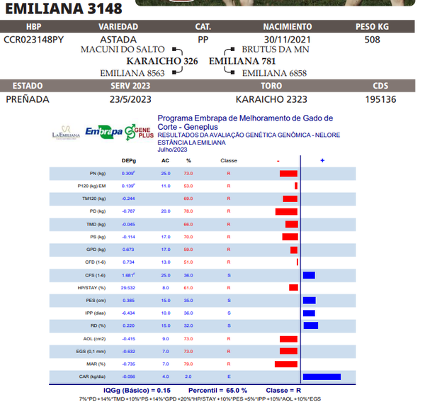 Lote LOTE 55