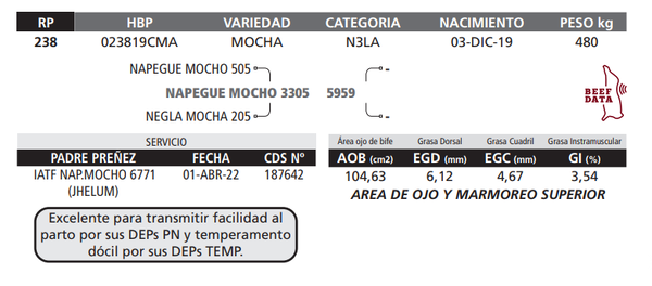Lote LOTE 21