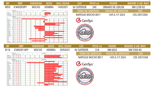 Lote LOTE 39