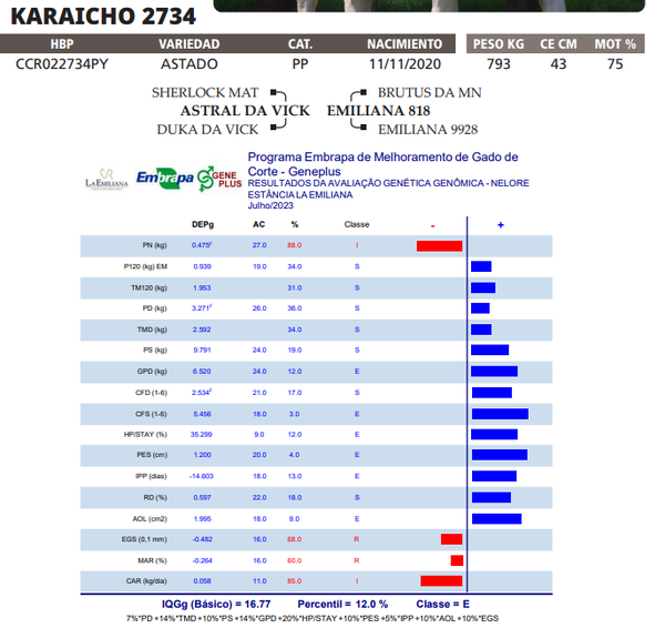 Lote LOTE 26