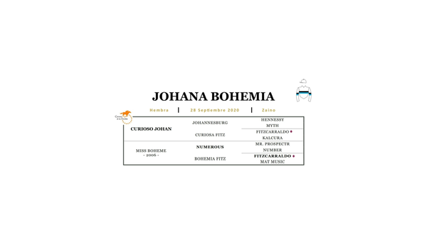 Lote JOHANA BOHEMIA (CURIOSO JOHAN -  MISS BOHEME)